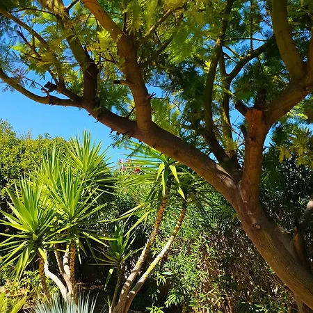 Holiday home Divine Sunny *