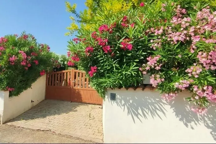 Divine Sunny Дом отдыха Roujan